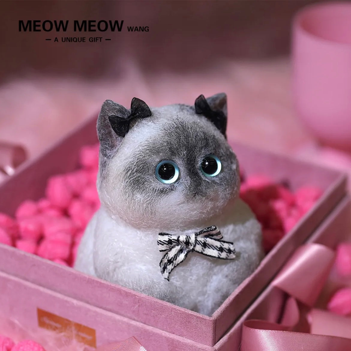 Super Cute Special Siamese Chubby Squishy Kitty