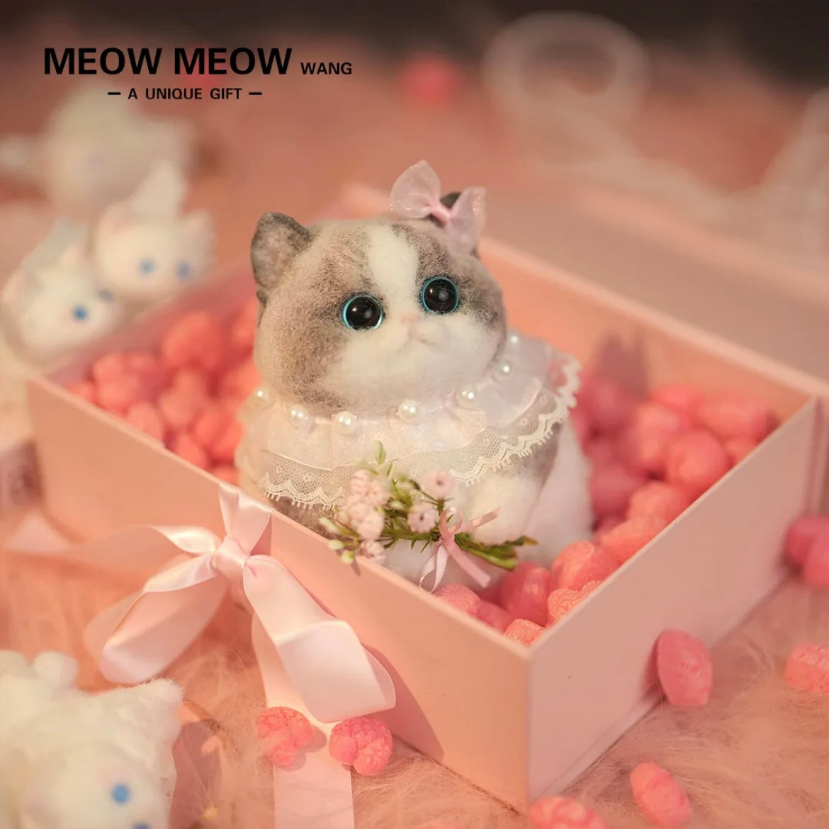 Chubby, fluffy, black and white with pink nose Squishy Ragdoll cat