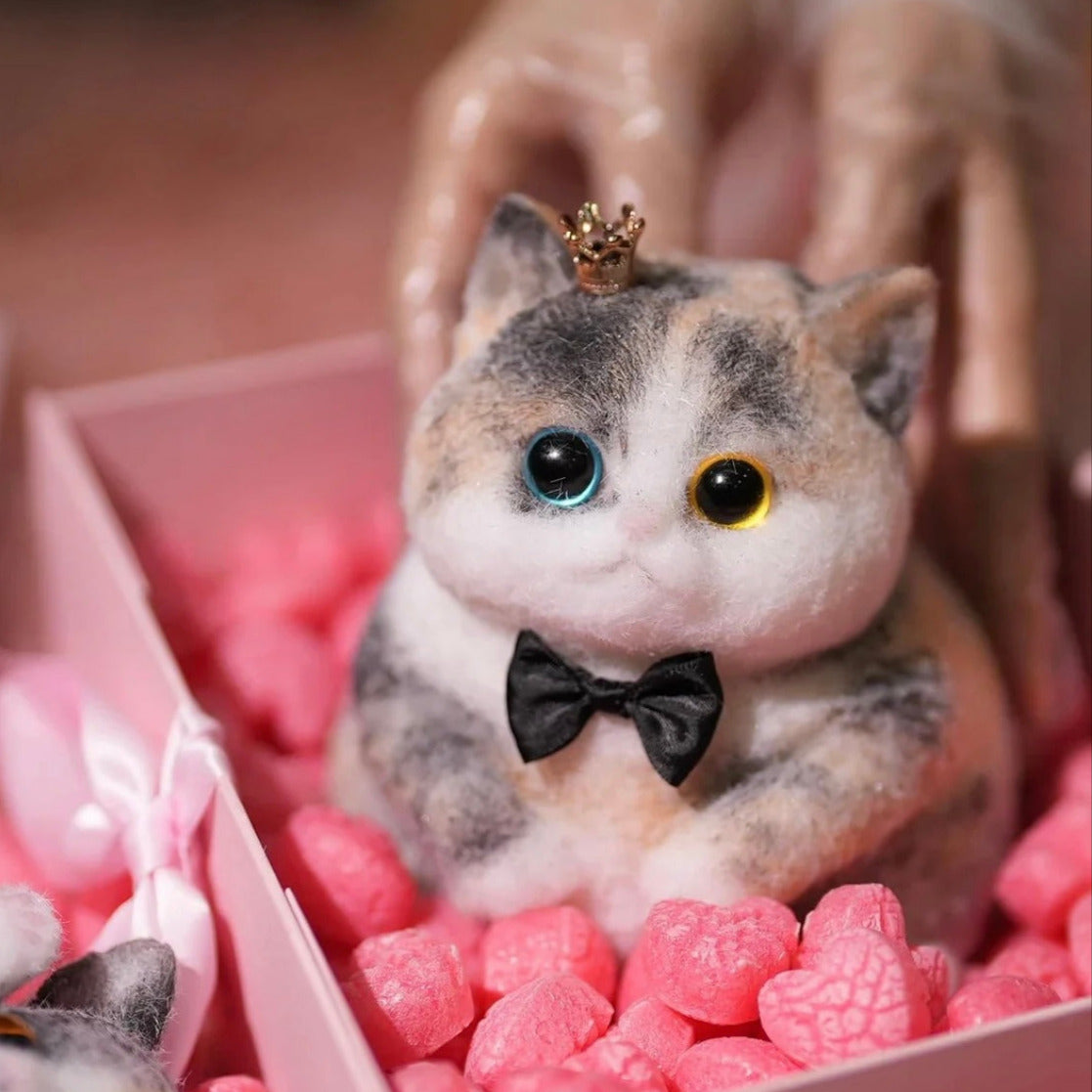 The Special Chubby Calico with the Blue and Yellow eyes