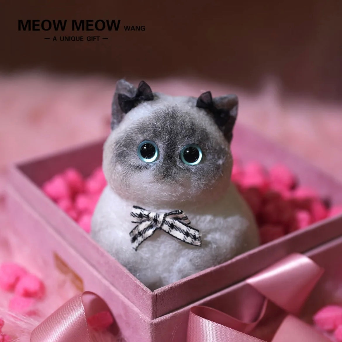 Super Cute Special Siamese Chubby Squishy Kitty