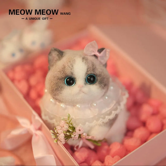 Chubby, fluffy, black and white with pink nose Squishy Ragdoll cat