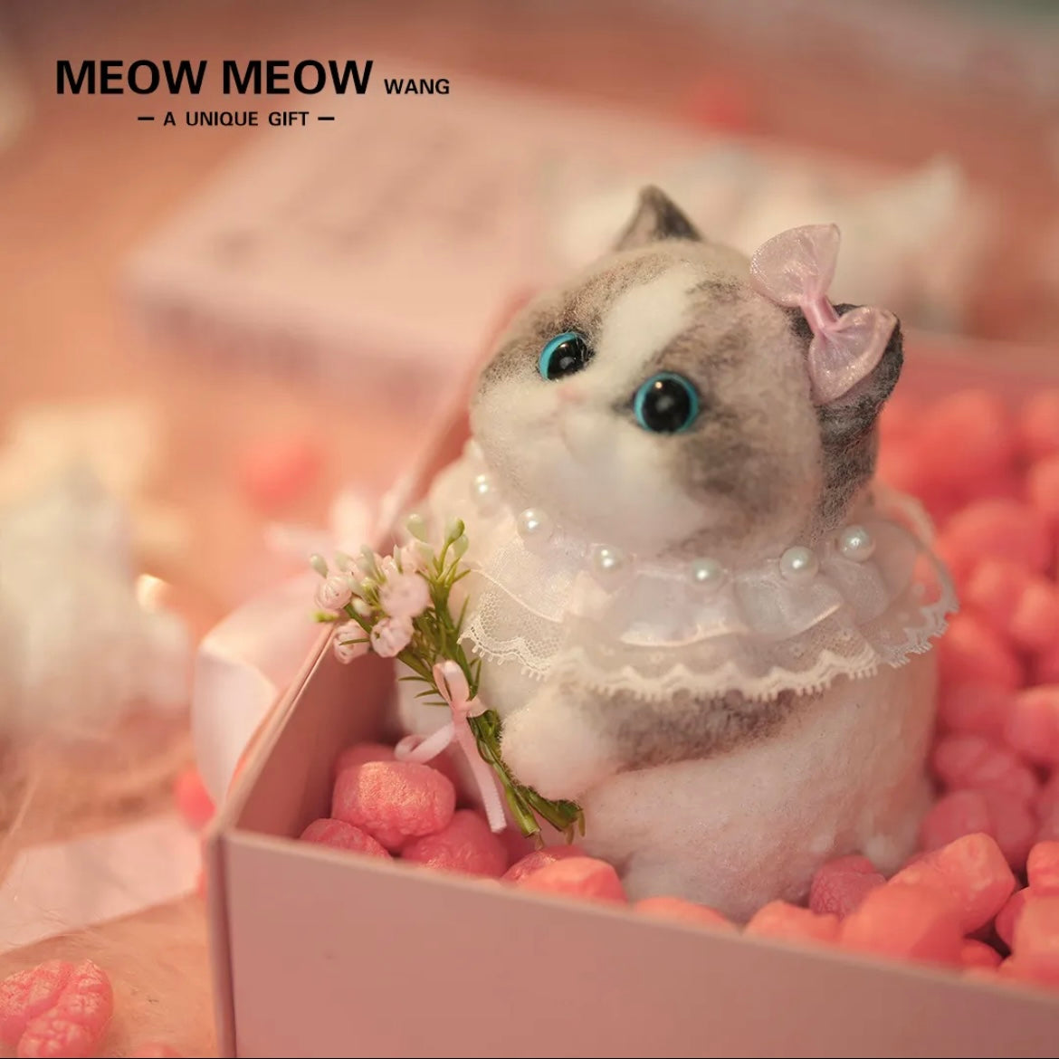 Chubby, fluffy, black and white with pink nose Squishy Ragdoll cat