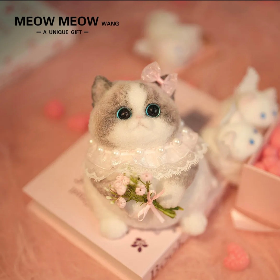 Chubby, fluffy, black and white with pink nose Squishy Ragdoll cat