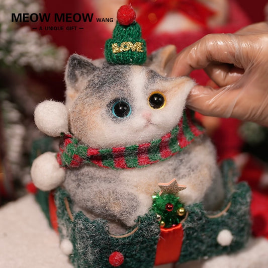 Christmas Chubby Calico with the Blue and Yellow eyes