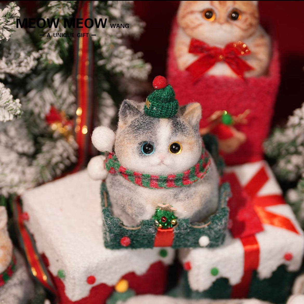 Christmas Chubby Calico with the Blue and Yellow eyes