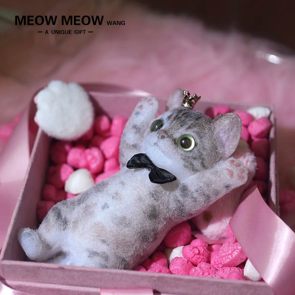 (Bengal leopard cat) Special Leo Slim Kitty