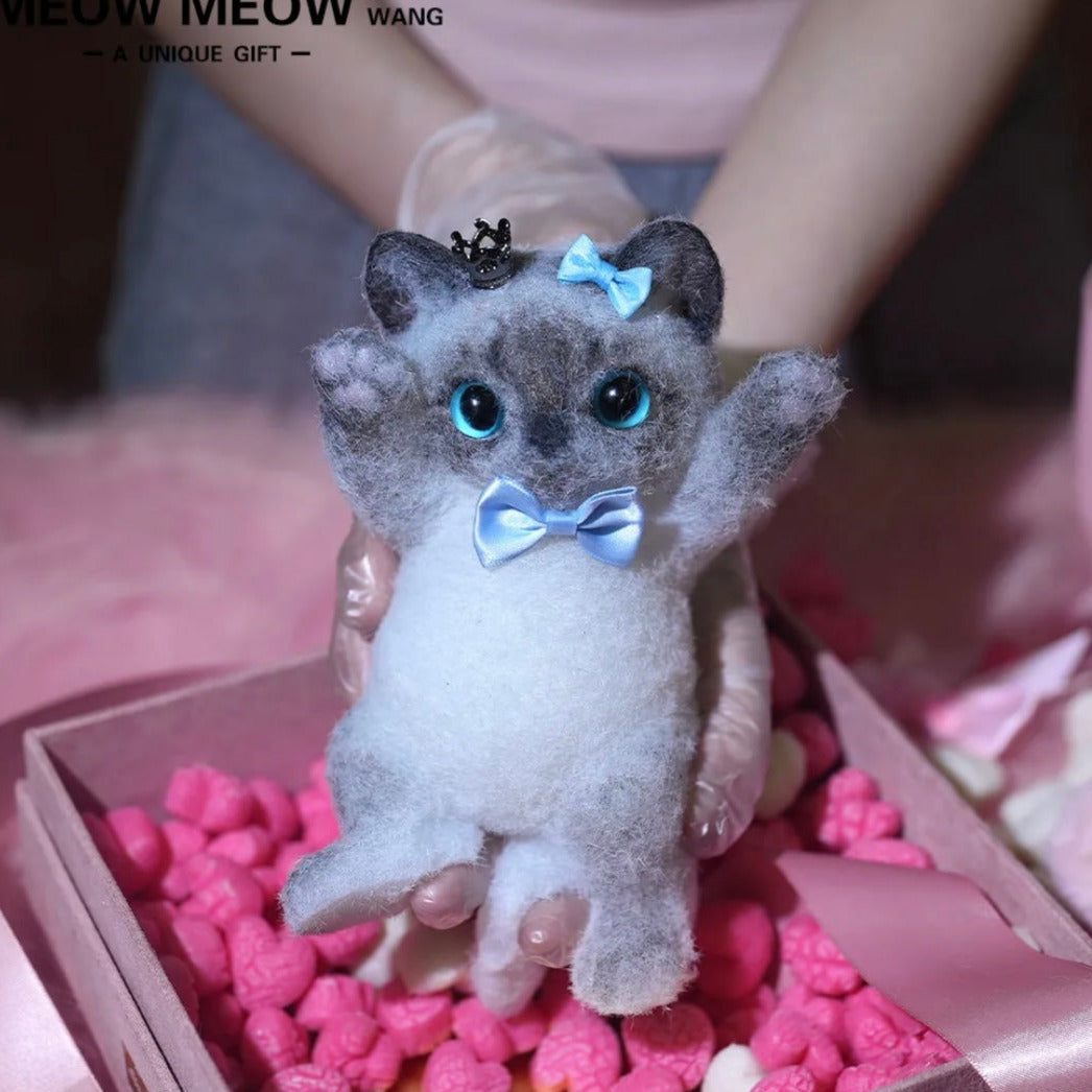 Lovely Black and Gray Siamese with Blue eyes