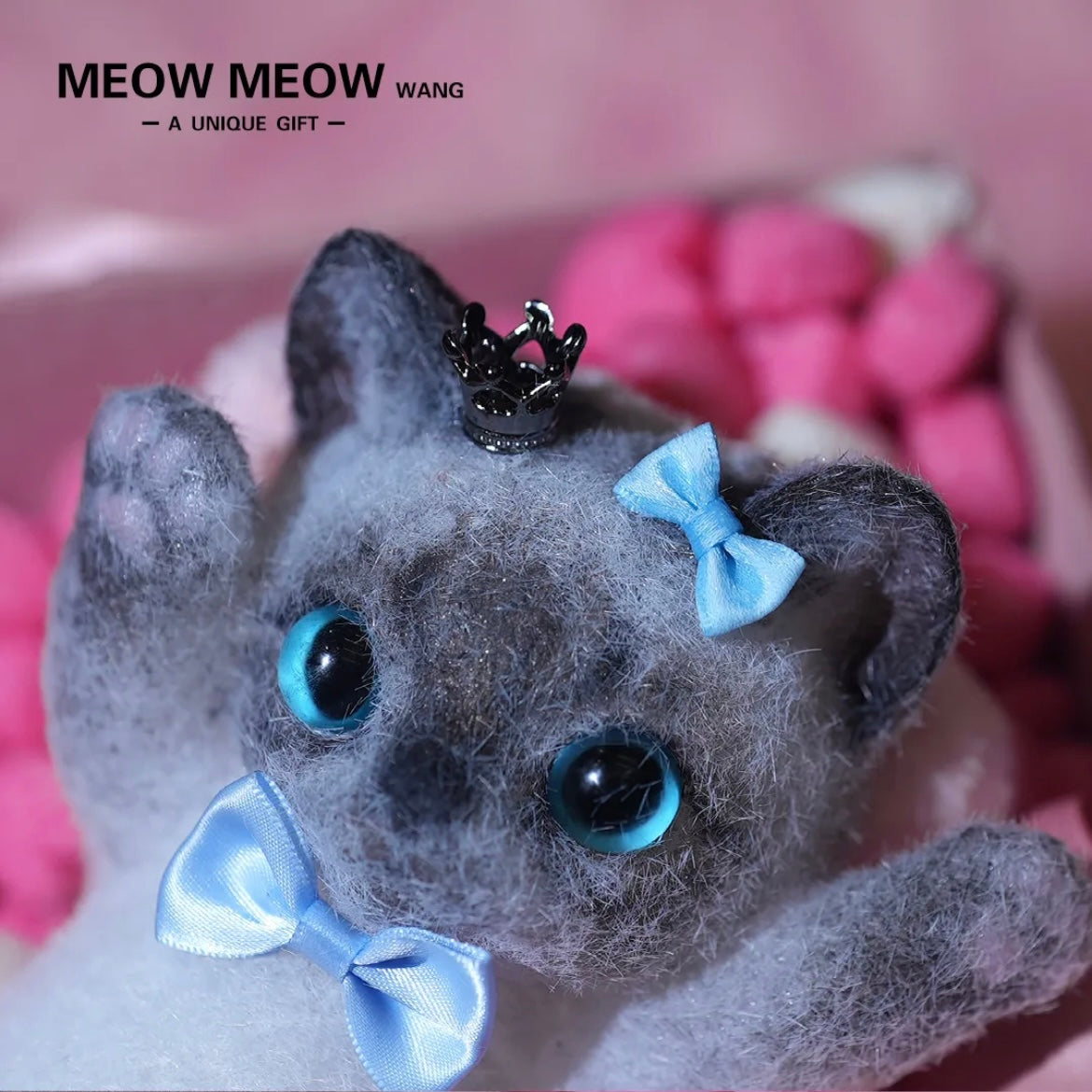 Lovely Black and Gray Siamese with Blue eyes