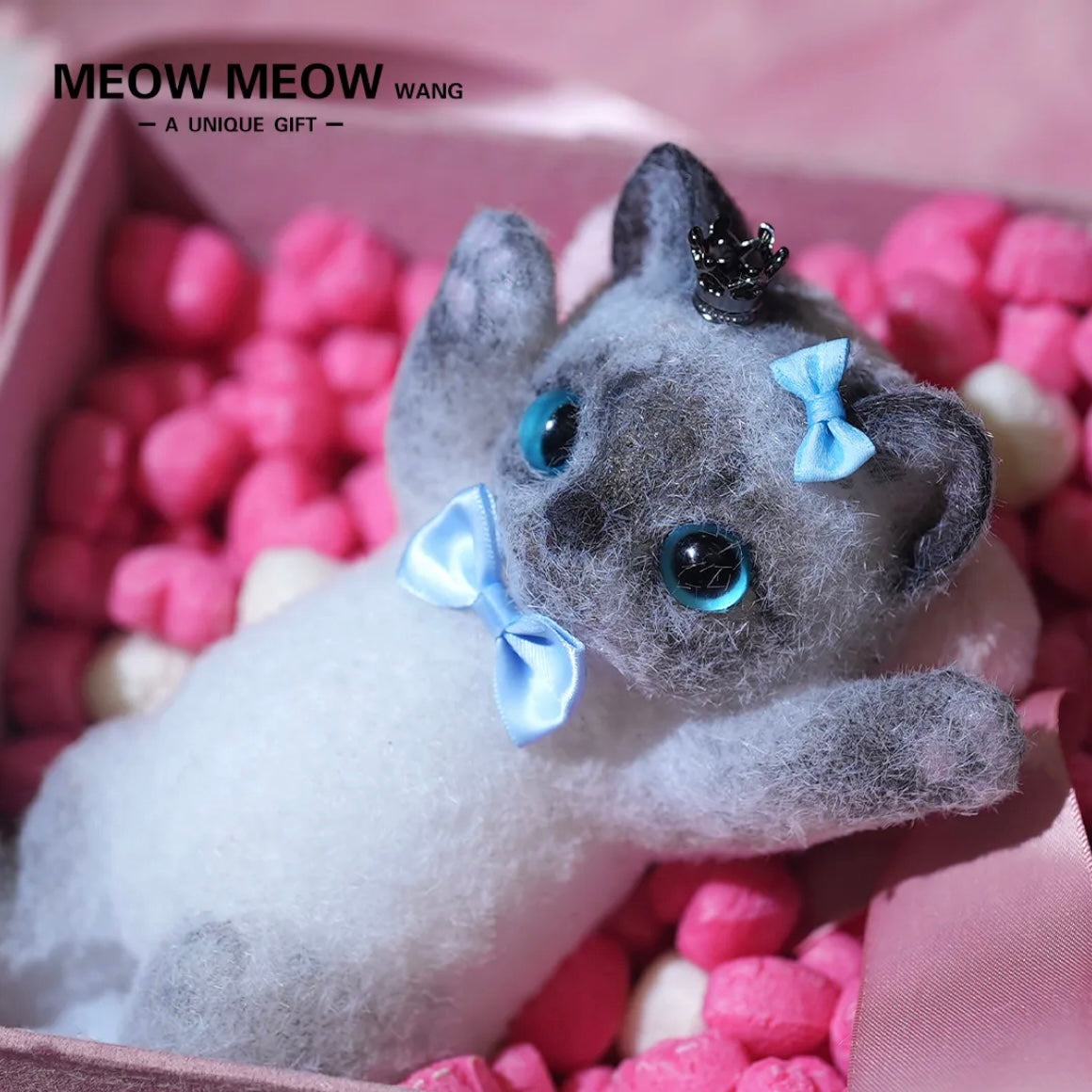 Lovely Black and Gray Siamese with Blue eyes